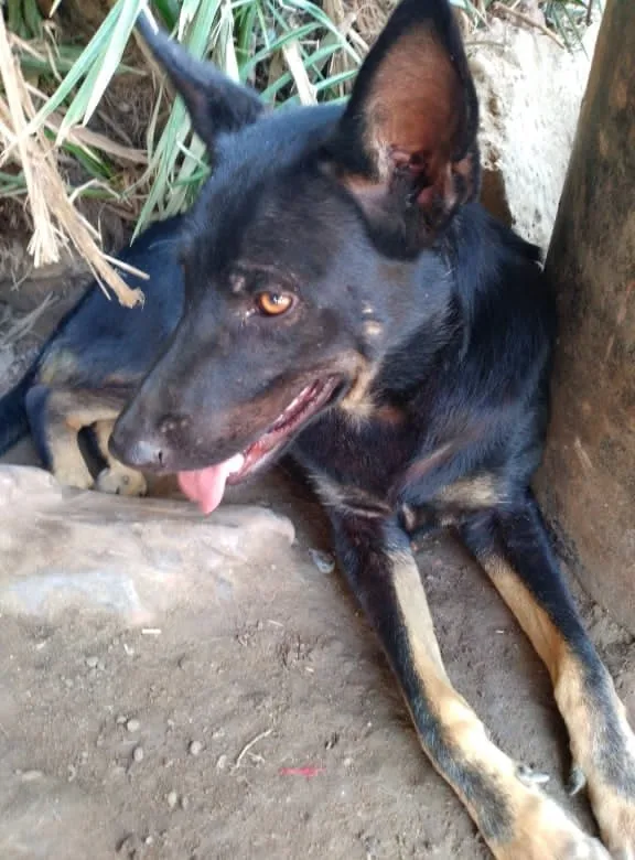 Onyx